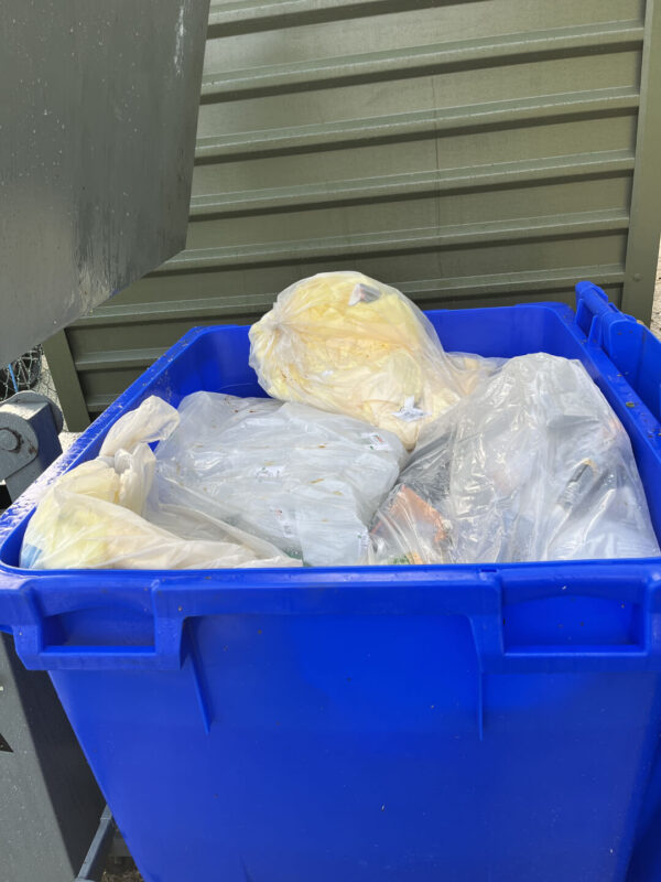 Wheelie bin compactor